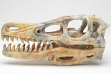 Carved Crazy Lace Agate Dinosaur Skull #208832-2